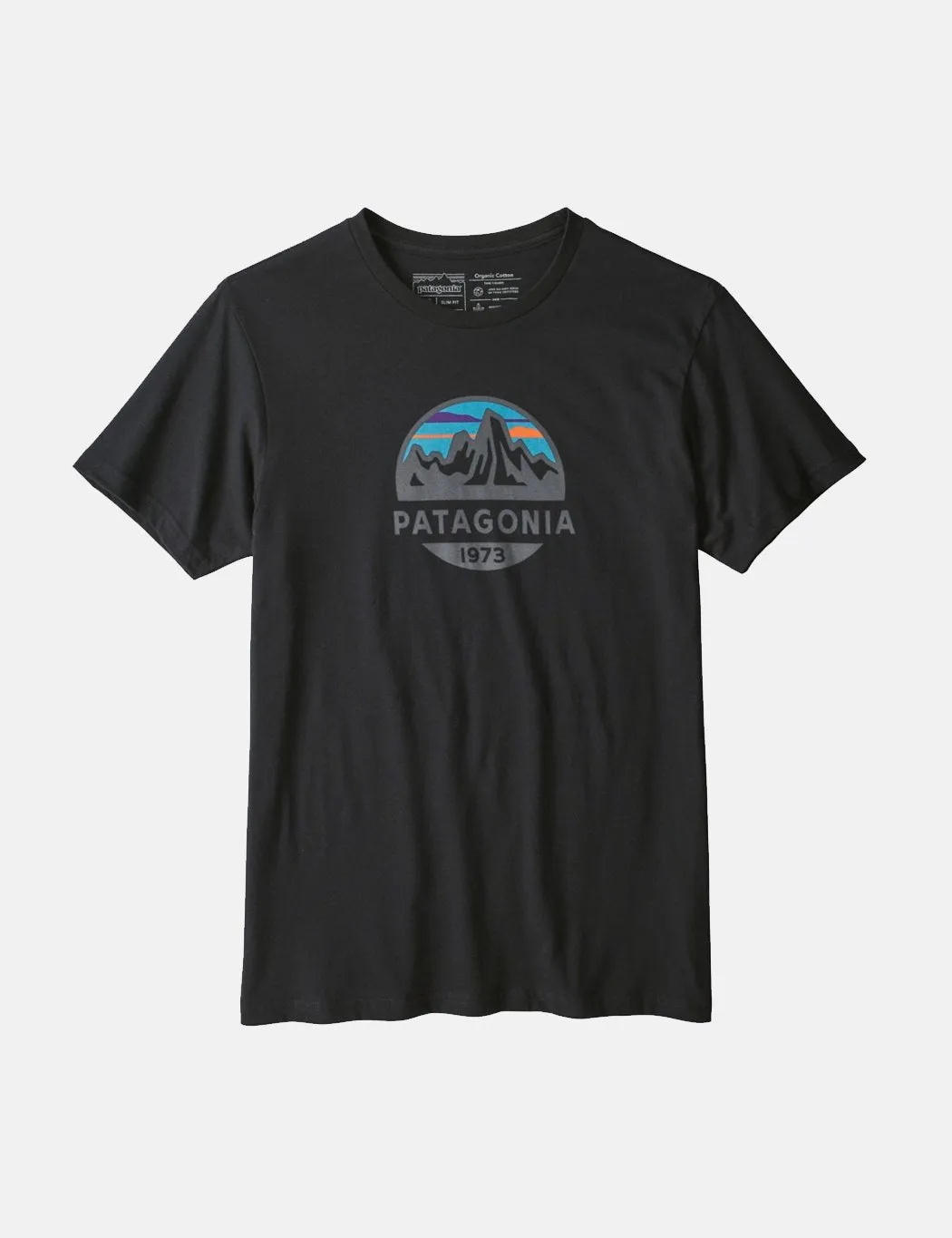 Patagonia Fitz Roy Scope Organic T-­Shirt - Black