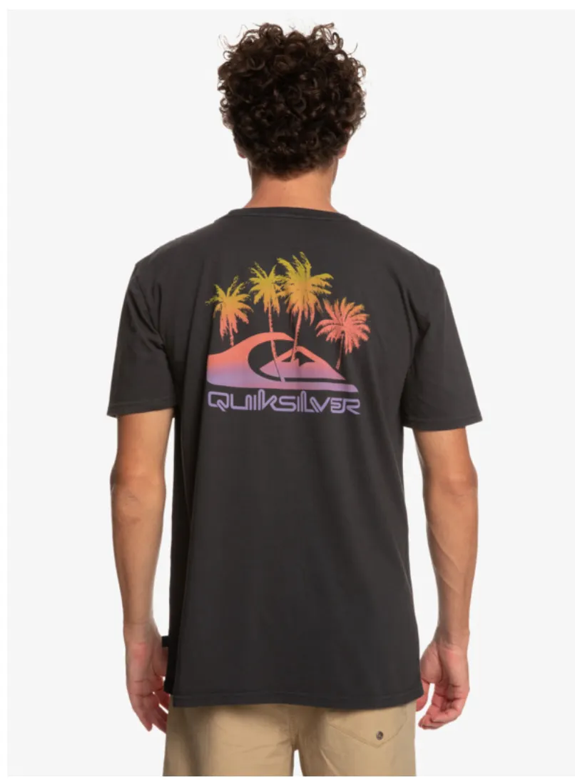 Quikilver Pastime Paradise - T-Shirt For Men