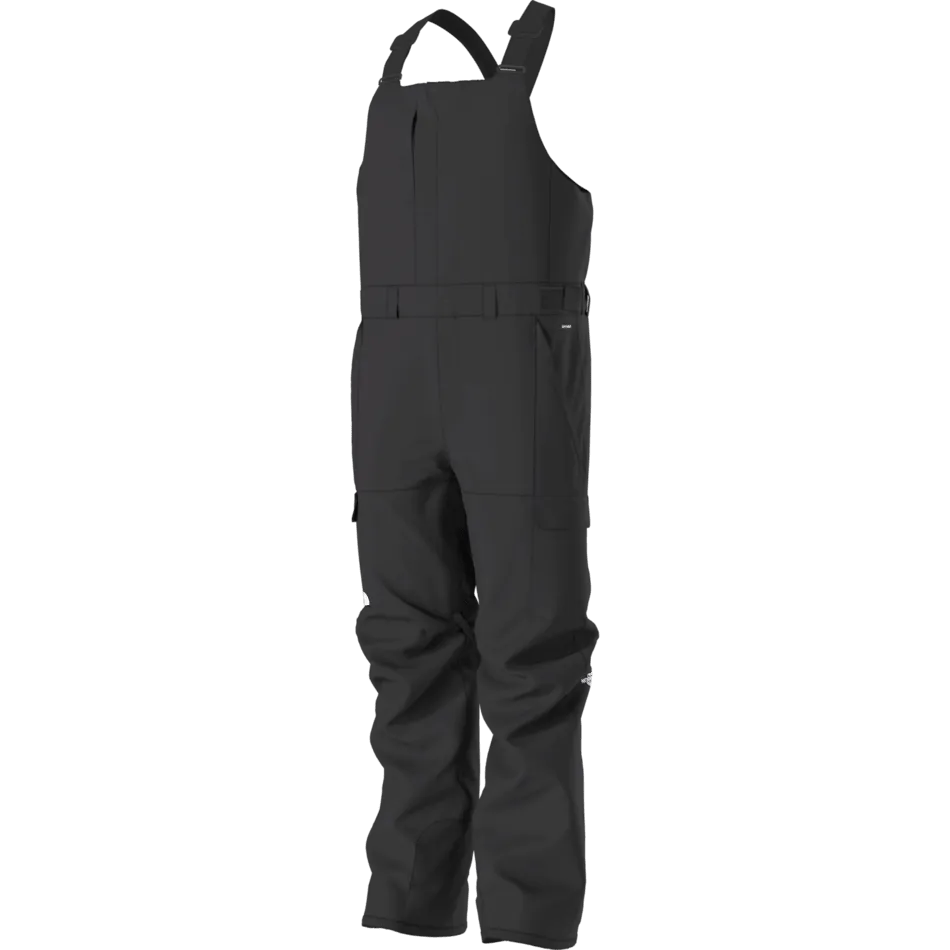 The North Face Men's Freedom Bib Pant 2025