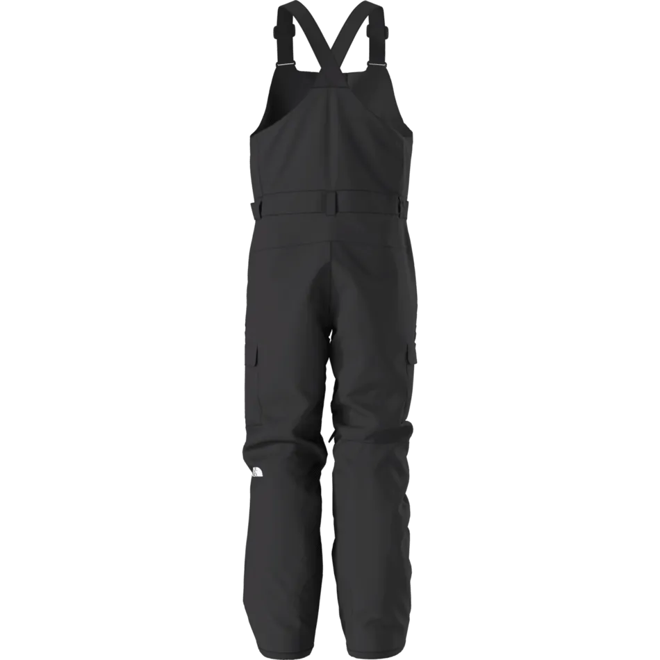 The North Face Men's Freedom Bib Pant 2025